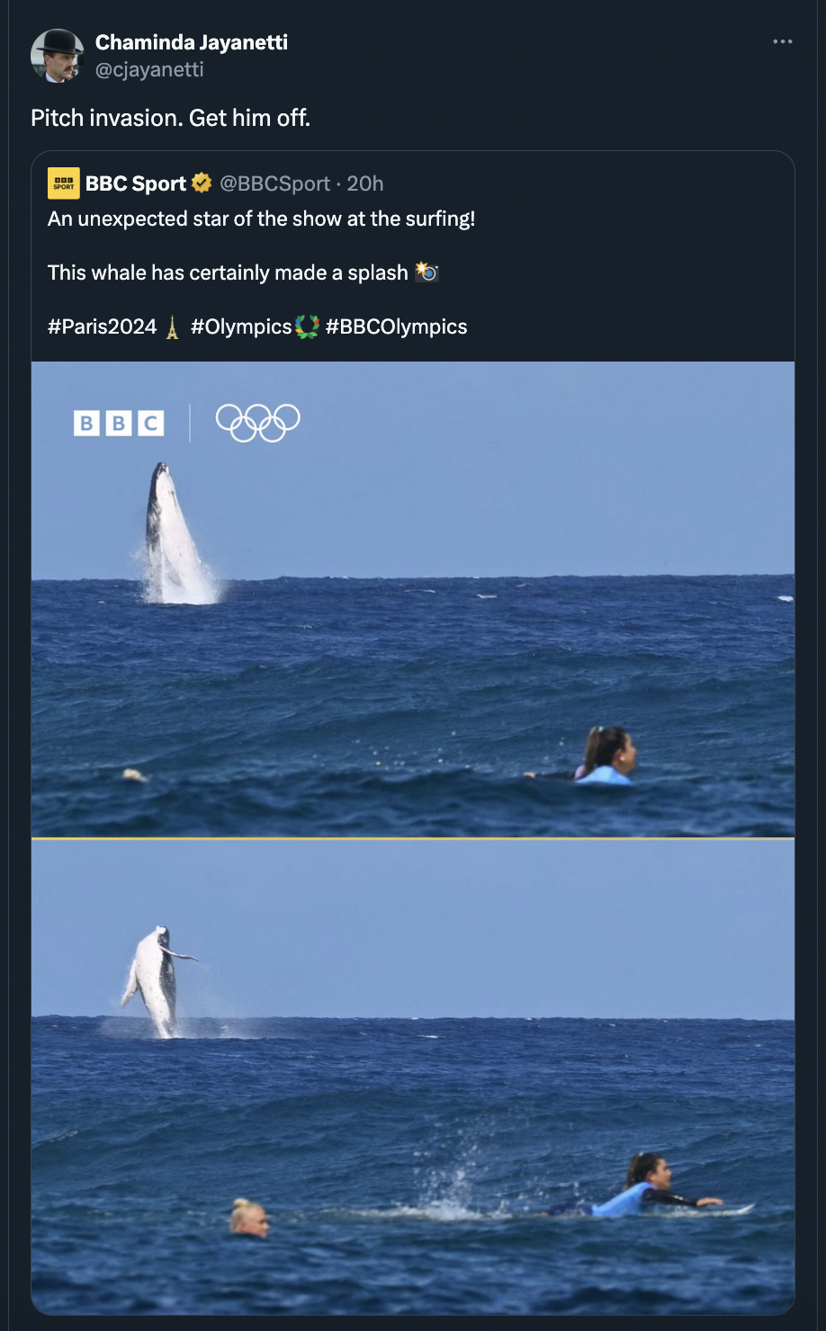 Surfing - Chaminda Jayanetti Pitch invasion. Get him off. Bbc Sport BBCSport20h An unexpected star of the show at the surfing This whale has certainly made a splash Bbc